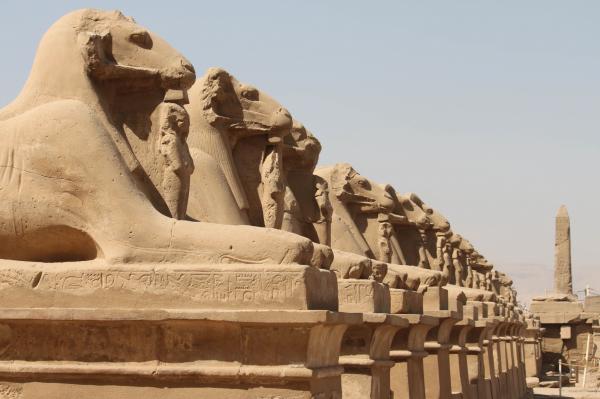 Senior Citizens Cairo and Luxor tour package